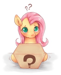 Size: 615x750 | Tagged: safe, artist:rigi, fluttershy, g4, box, female, mystery, mystery box, pixiv, question mark, solo