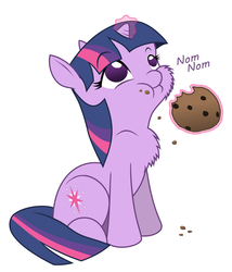 Size: 6000x7000 | Tagged: source needed, safe, artist:bri-sta, twilight sparkle, pony, unicorn, g4, absurd resolution, chest fluff, colored, cookie, cute, eating, female, filly, magic, mare, messy eating, nom, simple background, solo, twiabetes, unicorn twilight, white background