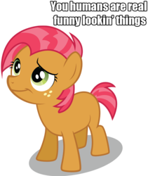 Size: 678x804 | Tagged: safe, babs seed, g4, bronybait, female, image macro, solo, text