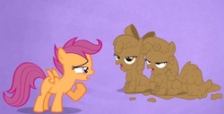 Size: 1006x511 | Tagged: safe, screencap, apple bloom, scootaloo, sweetie belle, earth pony, pegasus, pony, unicorn, g4, hearts and hooves day (episode), cutie mark crusaders, female, filly, hearts and hooves day, meme, mud, out of context, sitting, sweetiepoo, the perfect stallion