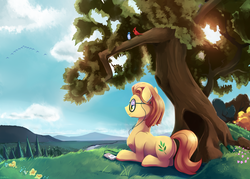Size: 2957x2114 | Tagged: safe, artist:gsphere, oc, oc only, earth pony, pony, earbuds, glasses, grass, ipod, solo, tree