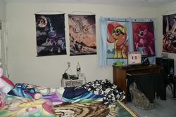 Size: 1920x1280 | Tagged: safe, dj pon-3, fluttershy, pinkie pie, princess celestia, princess luna, vinyl scratch, human, g4, body pillow, humanized, irl, photo, poster, room