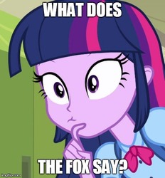 Size: 480x517 | Tagged: safe, twilight sparkle, equestria girls, g4, caption, female, image macro, solo, the fox, what does the fox say?, ylvis