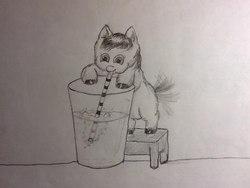 Size: 1024x768 | Tagged: safe, artist:waggytail, fluffy pony, glass, monochrome, solo, straw, water