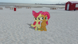 Size: 1024x576 | Tagged: safe, artist:dreamland200, apple bloom, babs seed, g4, 7-legged race, beach, irl, photo, pier, ponies in real life, rope, tables, vector