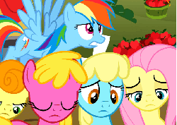 Size: 675x480 | Tagged: safe, screencap, carrot top, cherry berry, fluttershy, golden harvest, rainbow dash, sassaflash, sunshower raindrops, earth pony, pegasus, pony, unicorn, g4, the super speedy cider squeezy 6000, :3, animated, dashface, derp, face grab, female, male, mare, puffy cheeks, squishy, squishy cheeks, stallion, super speedy cider squeezy 6000