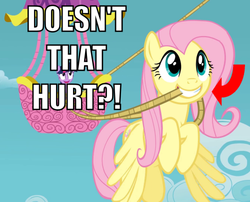 Size: 500x403 | Tagged: safe, edit, edited screencap, screencap, fluttershy, twilight sparkle, pegasus, pony, g4, animation error, caption, clipping error, hot air balloon, image macro, ouch, rope, twinkling balloon