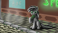 Size: 1920x1080 | Tagged: safe, artist:polex, artist:polex-p, oc, oc only, oc:speedy, earth pony, pony, earth pony oc, looking at you, sitting, solo