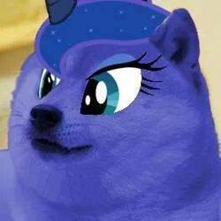 Size: 264x264 | Tagged: safe, edit, princess luna, g4, doge, female, lune, meme, solo