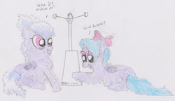 Size: 885x511 | Tagged: safe, artist:satan_mchitlercocks, cloudchaser, flitter, fluffy pony, g4, anemometer