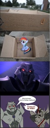 Size: 839x2134 | Tagged: safe, rainbow dash, pegasus, pony, fanfic:my little dashie, g4, evil people finding dash meme, exploitable meme, funny, megatron, owned, starscream, transformers, transformers prime