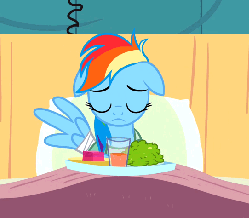Size: 543x474 | Tagged: safe, screencap, rainbow dash, aardvark, pegasus, pony, g4, read it and weep, adorable distress, animated, bandage, bandaid, bed, cup, cute, drink, drinking, eating, episode, female, food, glass, hoers, horse problems, horses doing horse things, hospital, mare, plate, silly, silly pony, solo, stuck, why the long face