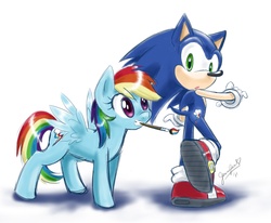 Size: 2119x1746 | Tagged: safe, artist:chibi-jen-hen, rainbow dash, mobian, pegasus, pony, g4, crossover, male, mouth hold, paint, paint on fur, paintbrush, sonic the hedgehog, sonic the hedgehog (series)