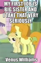 Size: 345x526 | Tagged: safe, edit, edited screencap, screencap, carrot top, golden harvest, noi, g4, putting your hoof down, image macro, quote, venus williams