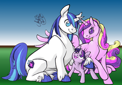 Size: 3292x2291 | Tagged: safe, artist:soranoryu, princess cadance, shining armor, twilight sparkle, g4, filly