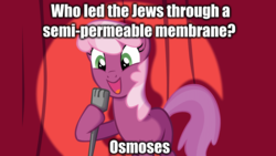 Size: 1920x1080 | Tagged: safe, cheerilee, g4, cheerilee pun, exploitable meme, female, jew, judaism, moses, pun, science, solo