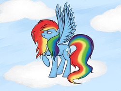 Size: 1400x1050 | Tagged: safe, artist:punkpizzaprincess, rainbow dash, g4, alternate hairstyle, female, solo