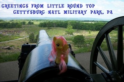 Size: 720x480 | Tagged: safe, artist:horsesnhurricanes, fluttershy, g4, american civil war, cannon, gettysburg, photo, ponies around the world