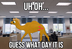 Size: 540x370 | Tagged: safe, edit, applejack, camel, g4, commercial, geico, hump day, species swap