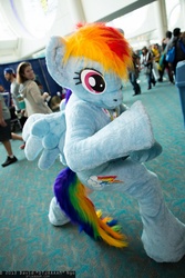 Size: 1365x2048 | Tagged: safe, artist:atalonthedeer, artist:dtjaaaam, rainbow dash, human, g4, cosplay, fursuit, irl, irl human, photo, san diego comic con