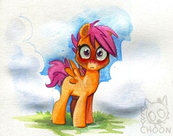Size: 1718x1344 | Tagged: safe, artist:psychoon, scootaloo, g4, blushing, female, grass, looking at you, solo, traditional art