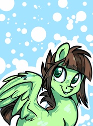 Size: 2894x3907 | Tagged: safe, artist:psychoon, oc, oc only, oc:soulbreath, pegasus, pony, female, mare, solo