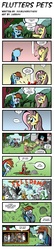 Size: 850x3958 | Tagged: safe, artist:doublewbrothers, artist:labba94, fluttershy, rainbow dash, scootaloo, oc, chicken, squirrel, g4, ambulance, animal, comic, faint, ketchup, scootachicken, trampling, wat