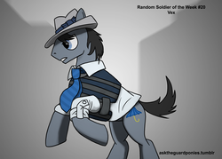 Size: 2450x1750 | Tagged: safe, artist:guard-mod, oc, oc only, series:ask the guard ponies, military, solo