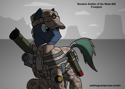 Size: 2450x1750 | Tagged: safe, artist:guard-mod, oc, oc only, series:ask the guard ponies, military, solo