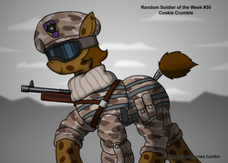 Size: 2450x1750 | Tagged: safe, artist:guard-mod, oc, oc only, series:ask the guard ponies, military, solo