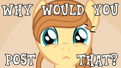 Size: 1280x720 | Tagged: safe, artist:tiarawhy, oc, oc only, oc:cream heart, earth pony, pony, g4, female, looking at you, mare, meme, reaction image, solo, text, why would you post that
