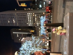 Size: 3264x2448 | Tagged: safe, fluttershy, g4, blind bag, city, flag, irl, new york city, night, photo, rockefeller center, sideways image, toy