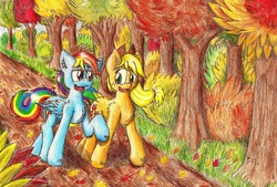 Size: 1500x1013 | Tagged: safe, artist:punk-pegasus, applejack, rainbow dash, g4, autumn, traditional art