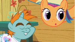 Size: 701x394 | Tagged: safe, screencap, scootaloo, snips, g4, season 2, the mysterious mare do well, animated, clothes, confused, flower, long neck, long pony, rainbow wig, reaction image, t-shirt, table, wig