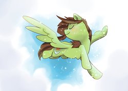 Size: 1024x732 | Tagged: safe, artist:psychoon, oc, oc only, oc:soulbreath, pegasus, pony, blushing, female, flying, mare, solo