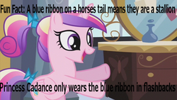 Size: 853x480 | Tagged: safe, edit, edited screencap, screencap, princess cadance, g4, bow, caption, fun fact, image macro, implications, open mouth, ribbon, smiling, solo, tail bow, transgender