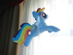 Size: 4000x3000 | Tagged: safe, artist:equestriaplush, rainbow dash, pegasus, pony, g4, beanie (plushie), flying, irl, photo, plushie, solo, spread wings, wings