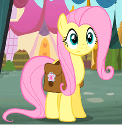 Size: 529x540 | Tagged: safe, screencap, fluttershy, pony, g4, putting your hoof down, season 2, animated, female, saddle bag, solo