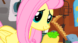 Size: 960x540 | Tagged: safe, screencap, angel bunny, fluttershy, pony, g4, putting your hoof down, angel is a bunny bastard, animated, bitch slap, book, flutterbuse