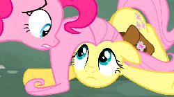 Size: 960x540 | Tagged: safe, screencap, fluttershy, pinkie pie, pony, g4, putting your hoof down, animated, assertive, doormat, female, poking, saddle bag, scowl