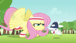 Size: 1280x720 | Tagged: safe, screencap, angel bunny, fluttershy, pegasus, pony, rabbit, g4, hurricane fluttershy, blowing, buzzing wings, coach, duo, female, hat, headband, male, mare, puffy cheeks, sports, training, whistle, wristband