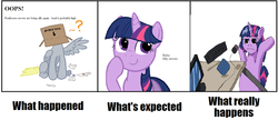 Size: 640x276 | Tagged: safe, derpy hooves, twilight sparkle, pegasus, pony, g4, female, mare, meta, ponibooru