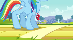 Size: 891x489 | Tagged: safe, screencap, rainbow dash, g4, hurricane fluttershy, coach rainbow dash, cracking joints, female, flying, head out of frame, solo, sports, stretching, training, whistle