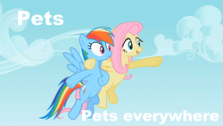 Size: 1280x720 | Tagged: safe, edit, edited screencap, screencap, fluttershy, rainbow dash, g4, may the best pet win, caption, duo, flying, hoof around neck, meme, x x everywhere