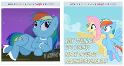 Size: 530x285 | Tagged: safe, fluttershy, rainbow dash, derpibooru, g4, exploitable meme, juxtaposition, juxtaposition win, meme, meta, selfcest