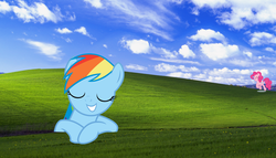 Size: 879x503 | Tagged: safe, pinkie pie, rainbow dash, g4, bliss xp, webcore, windows xp