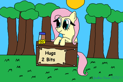 Size: 1098x727 | Tagged: safe, artist:thesontendo, fluttershy, g4, bits, booth, female, hug, solo