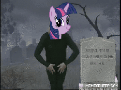 Size: 320x240 | Tagged: safe, twilight sparkle, g4, 2spooky, animated, dancing, female, funny, grave, grave dancing, gravestone, graveyard, immortality, irl, male, photo, twiface
