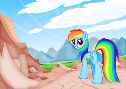 Size: 1164x830 | Tagged: safe, artist:ctb-36, rainbow dash, g4, butt, female, plot, scenery, solo