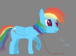 Size: 1024x751 | Tagged: safe, artist:qebehsenuef, rainbow dash, g4, blind, collar, female, solo